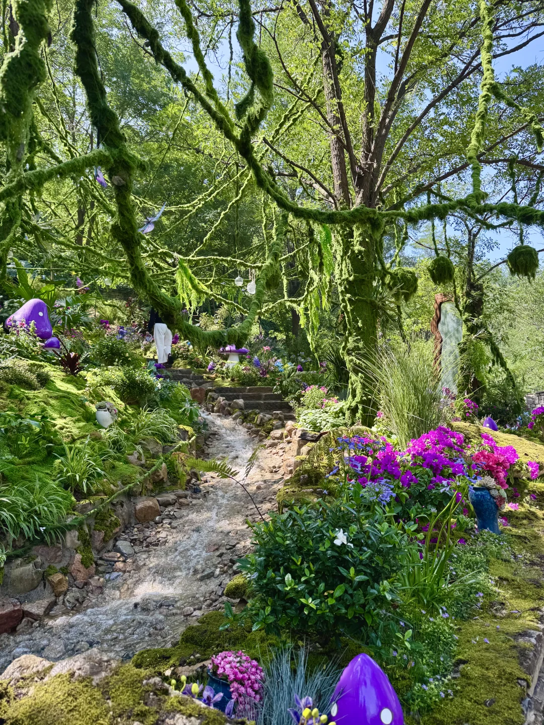 临沂25℃避暑胜地🌳！！走进秘境森林！！超出片！