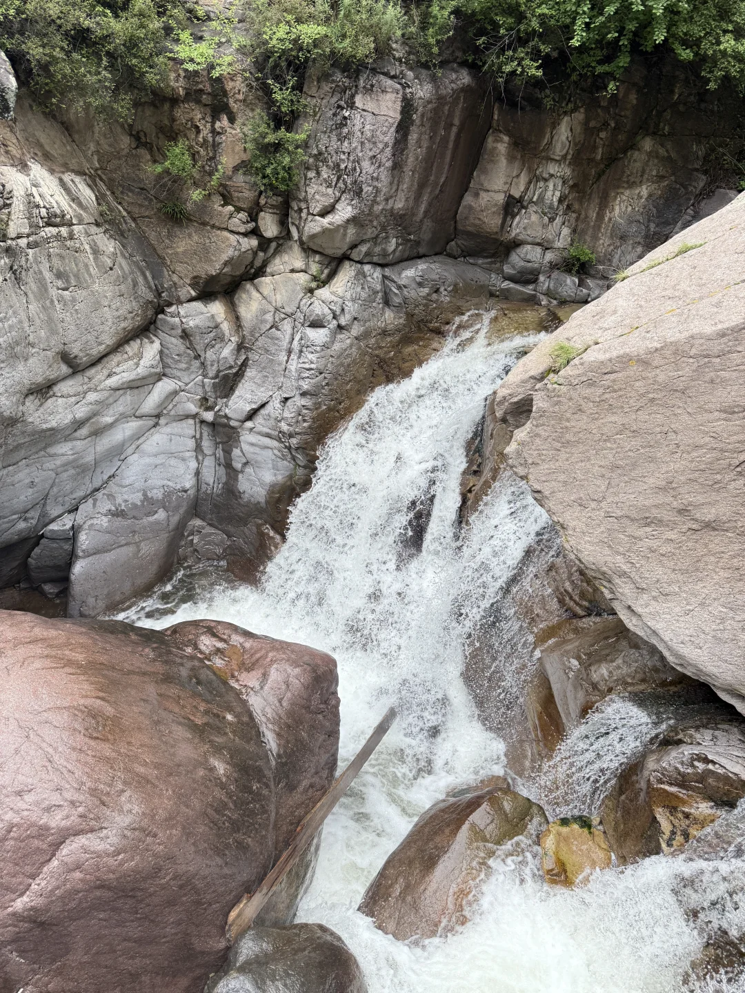 夏日溯溪⛰️进山玩水💦