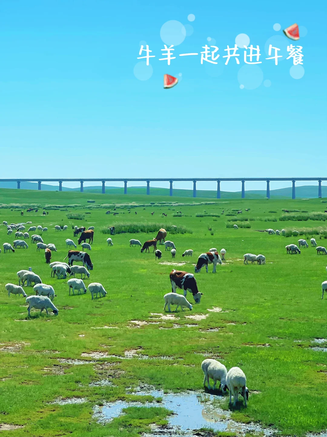 一次性说清乌拉盖草原游玩攻略‼️省心去玩