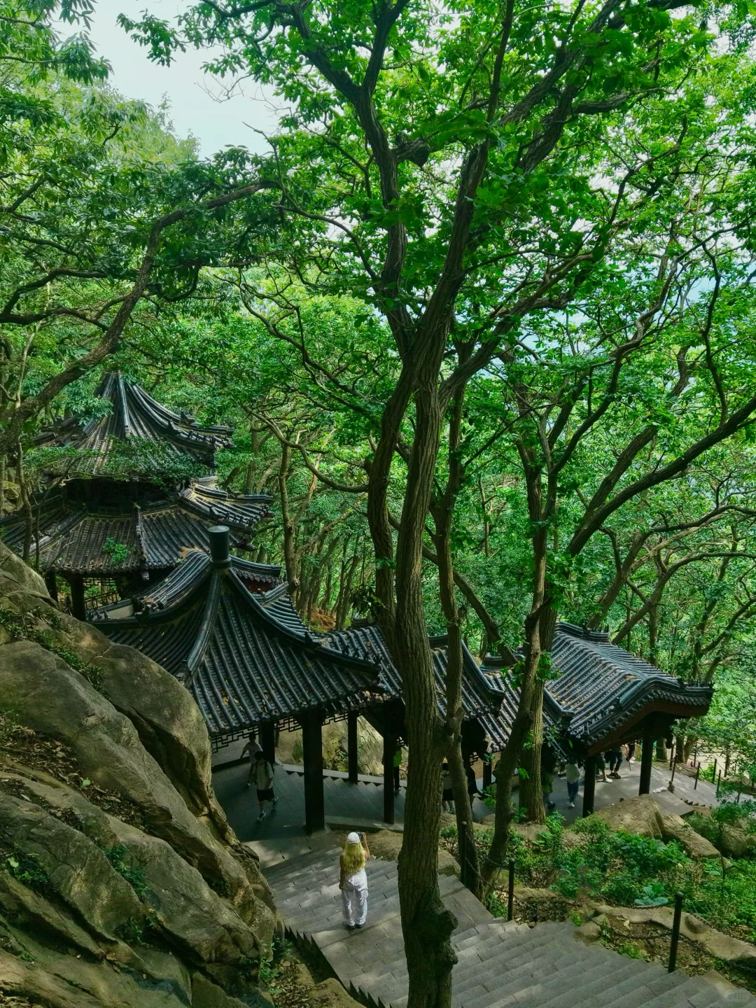 逃离40°C高温，连云港20°C的神仙避暑地 ！