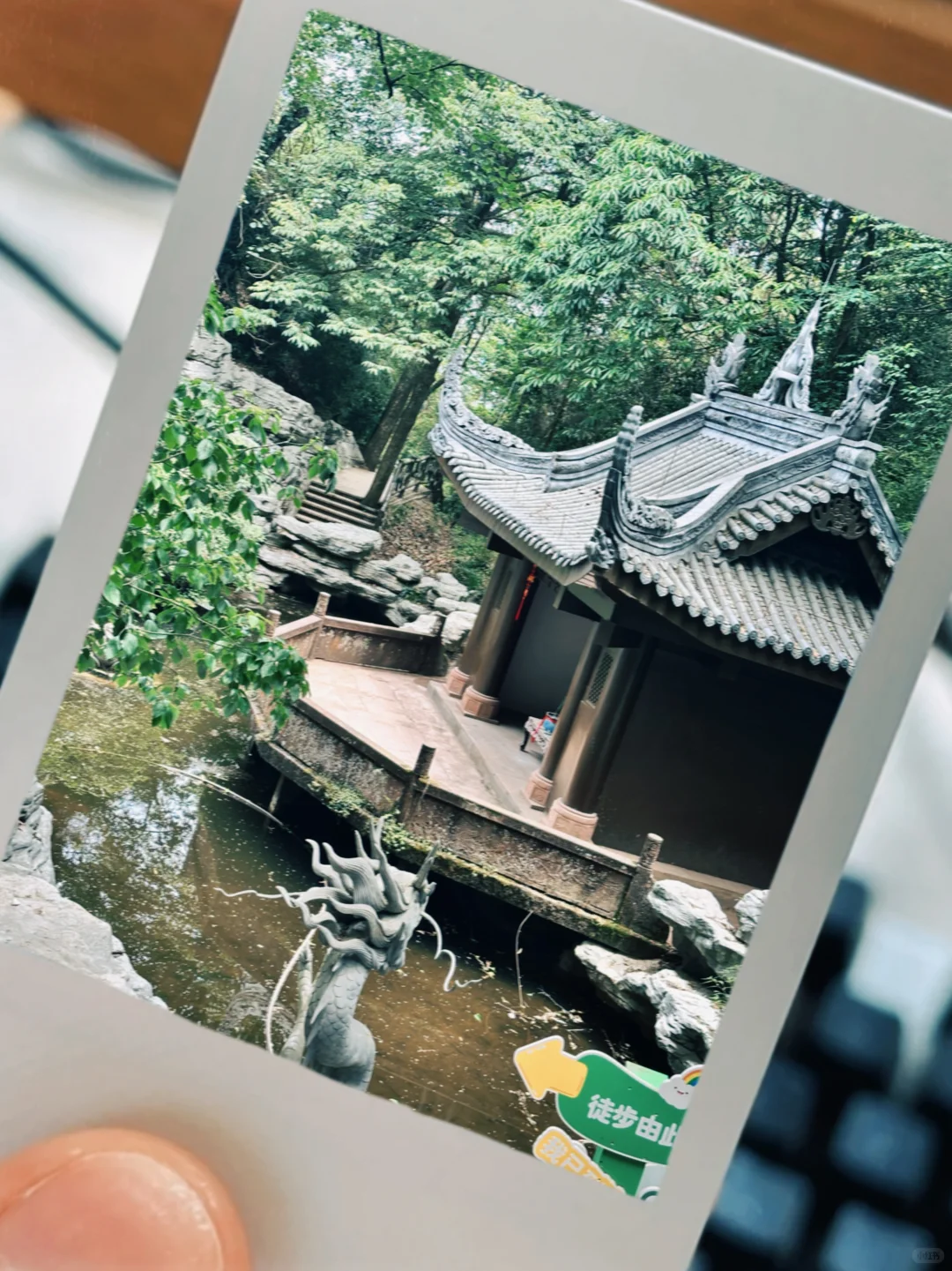 📍雅安·蒙顶山||茶韵千年，云游蒙顶