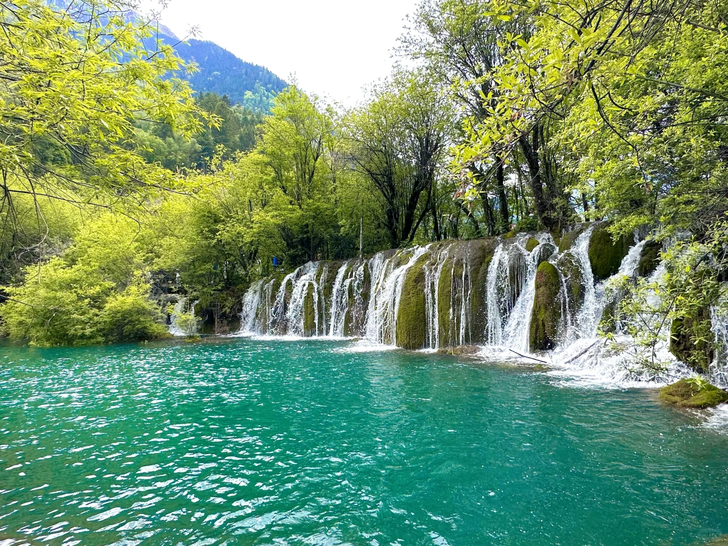 九寨归来不看水