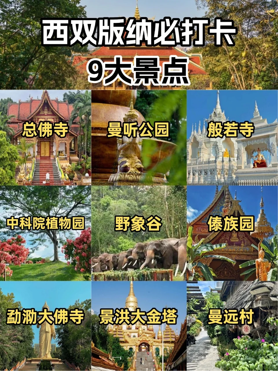 西双版纳必去9⃣️大景点❗️新手必看🔥