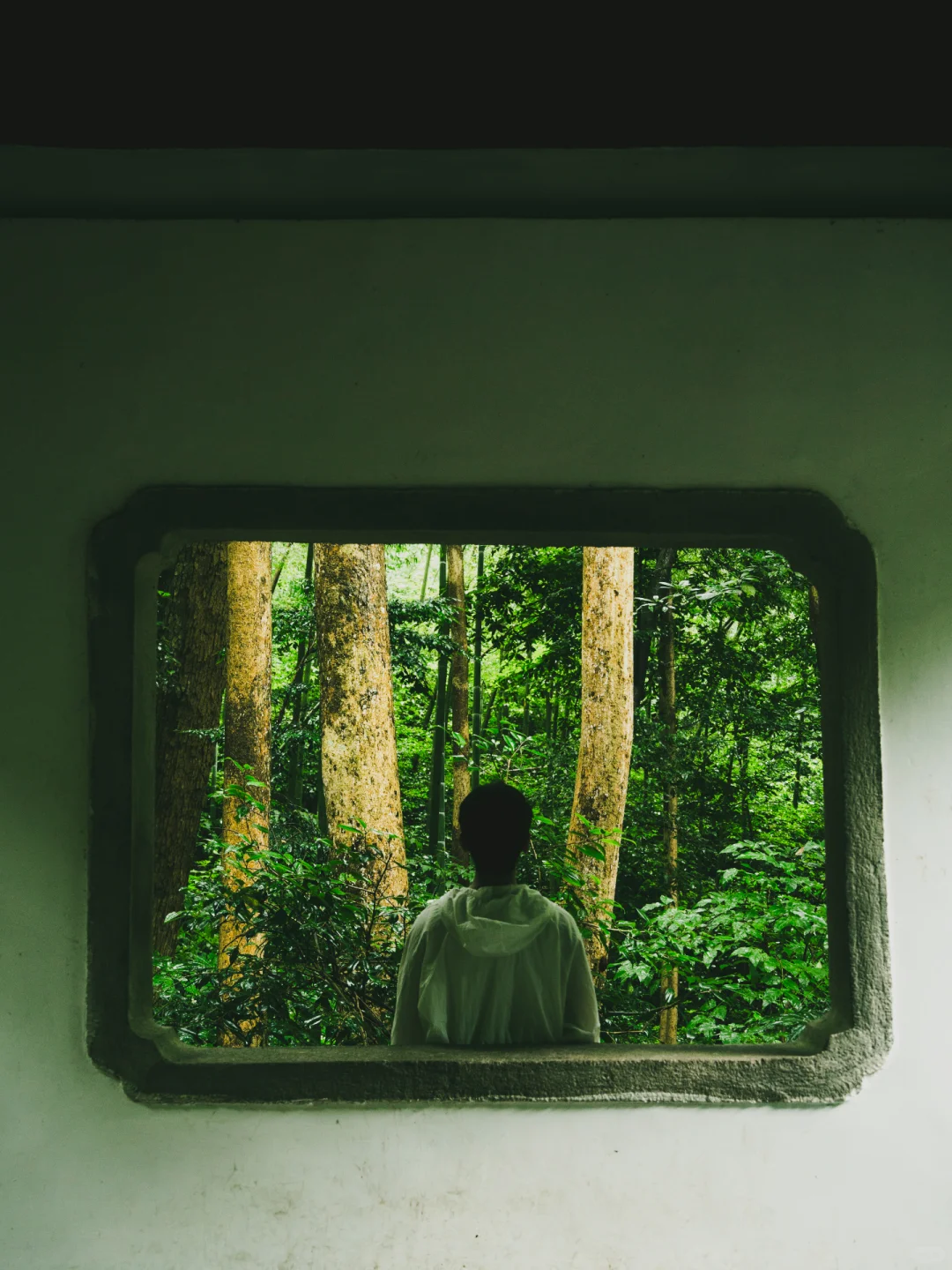 本以为西湖够美了🌿直到雨天我去了云栖竹径