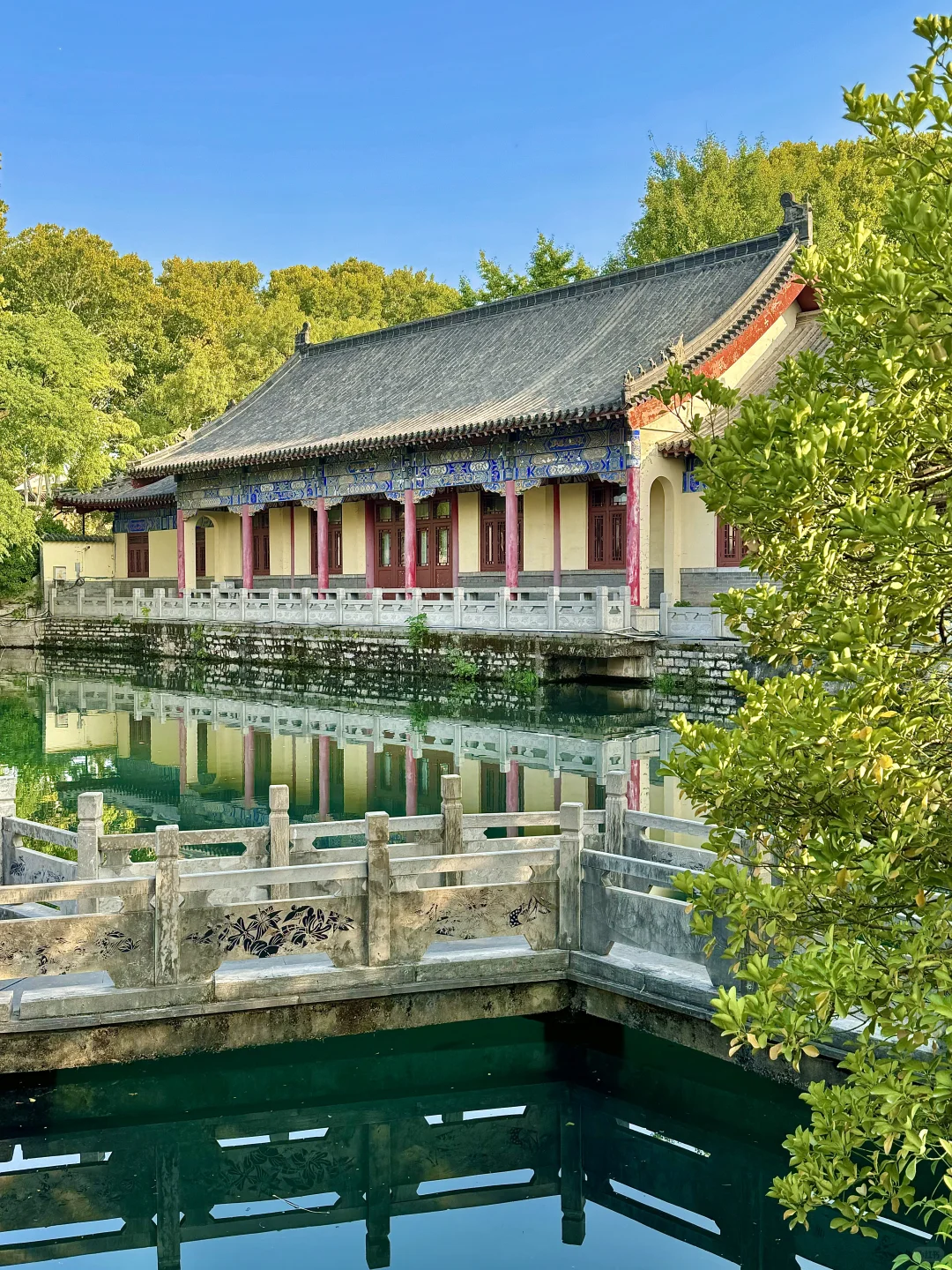 在济南走一种很新的city泉水walk(附路线)