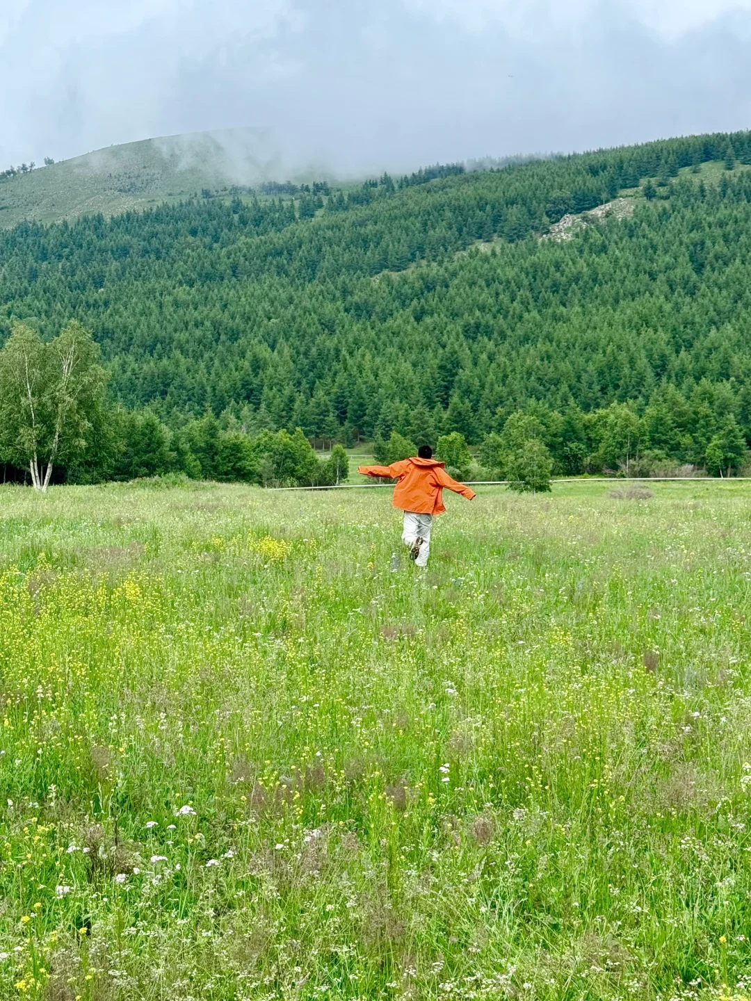 北京出发3h🚗严重被低估的童话森林秘境🌳