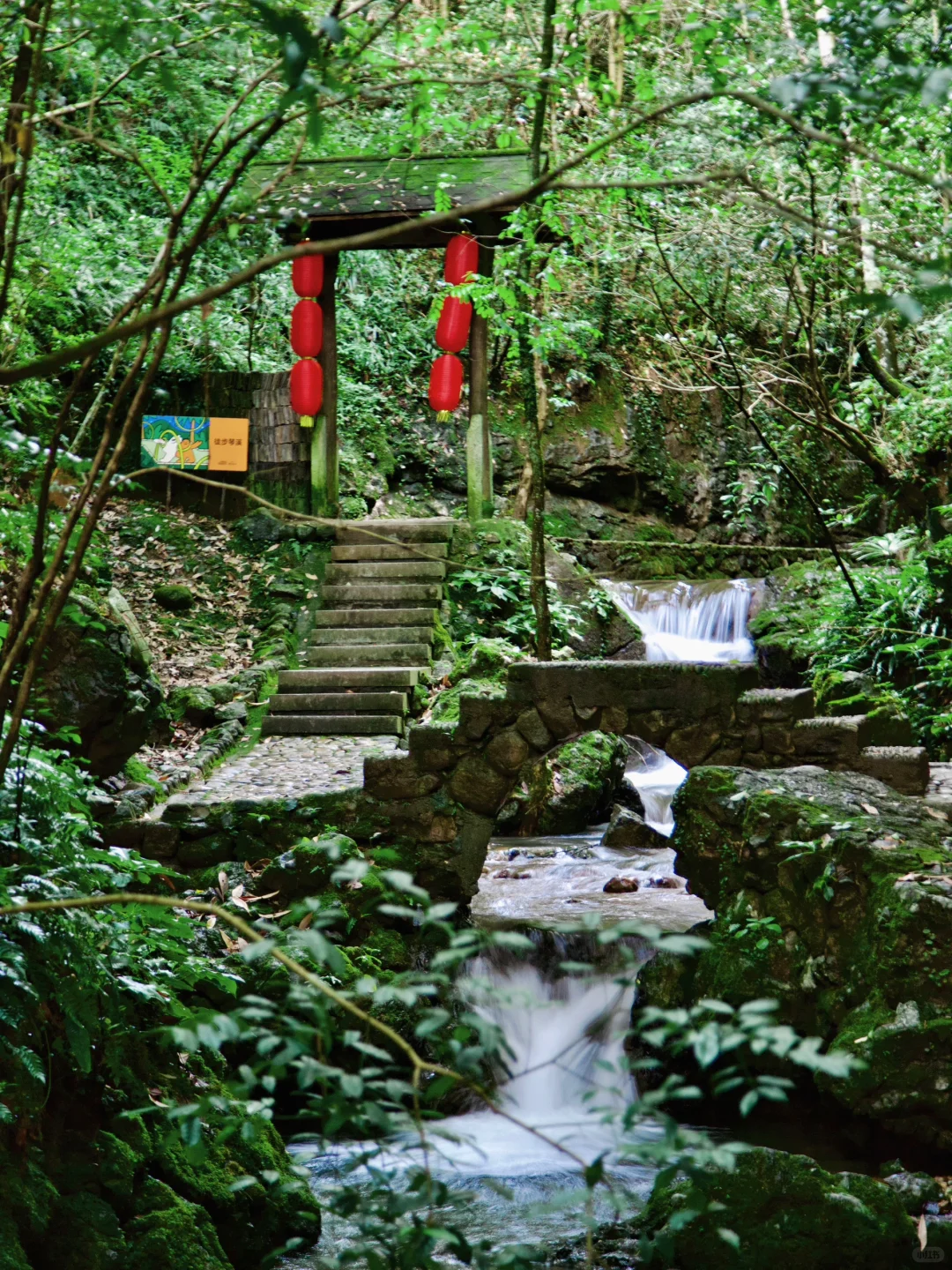 是杭州！不是巴厘岛！😭江浙沪避暑胜地在杭州