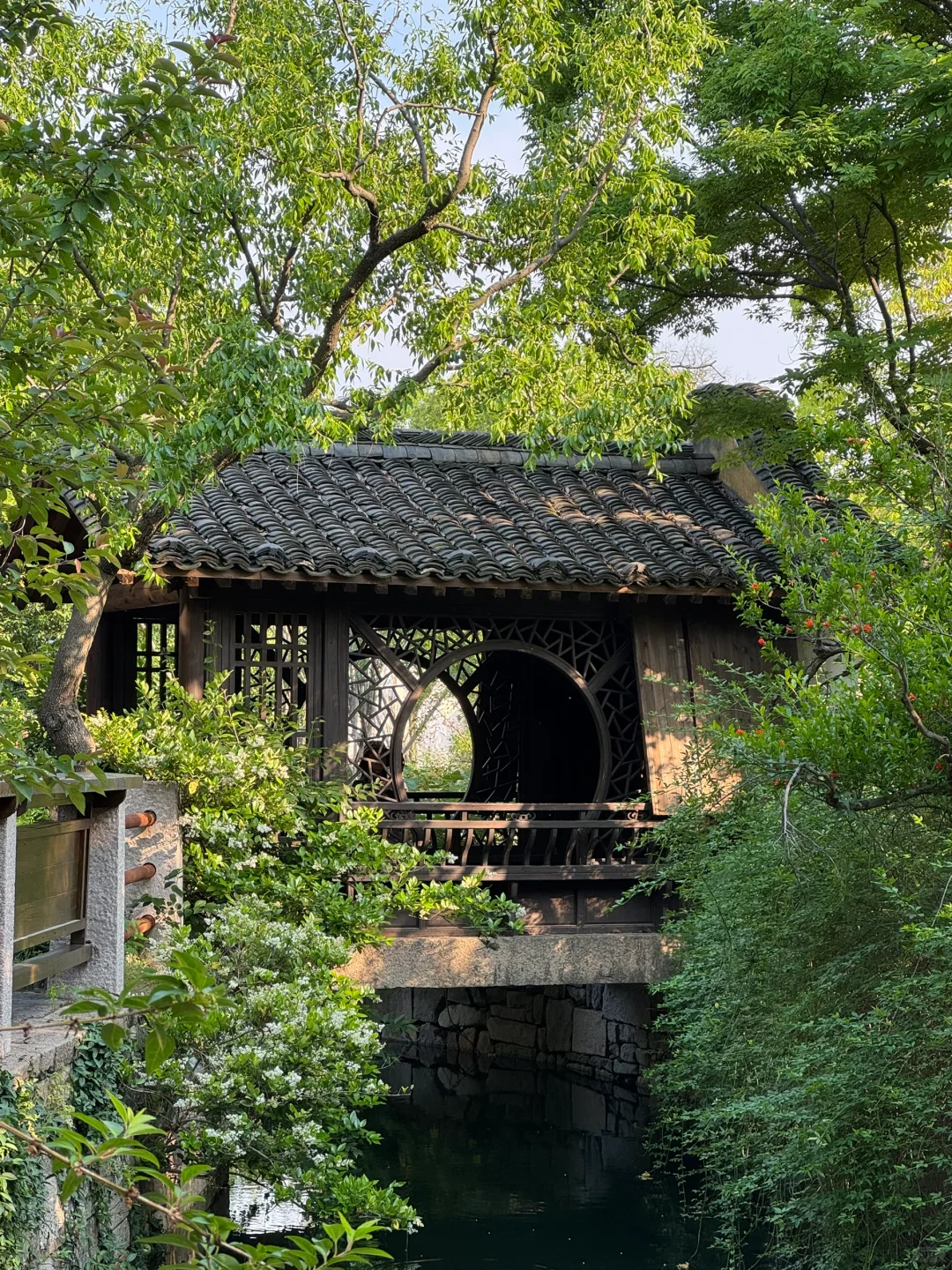 📍为了这面瀑布墙我来了趟盐官
