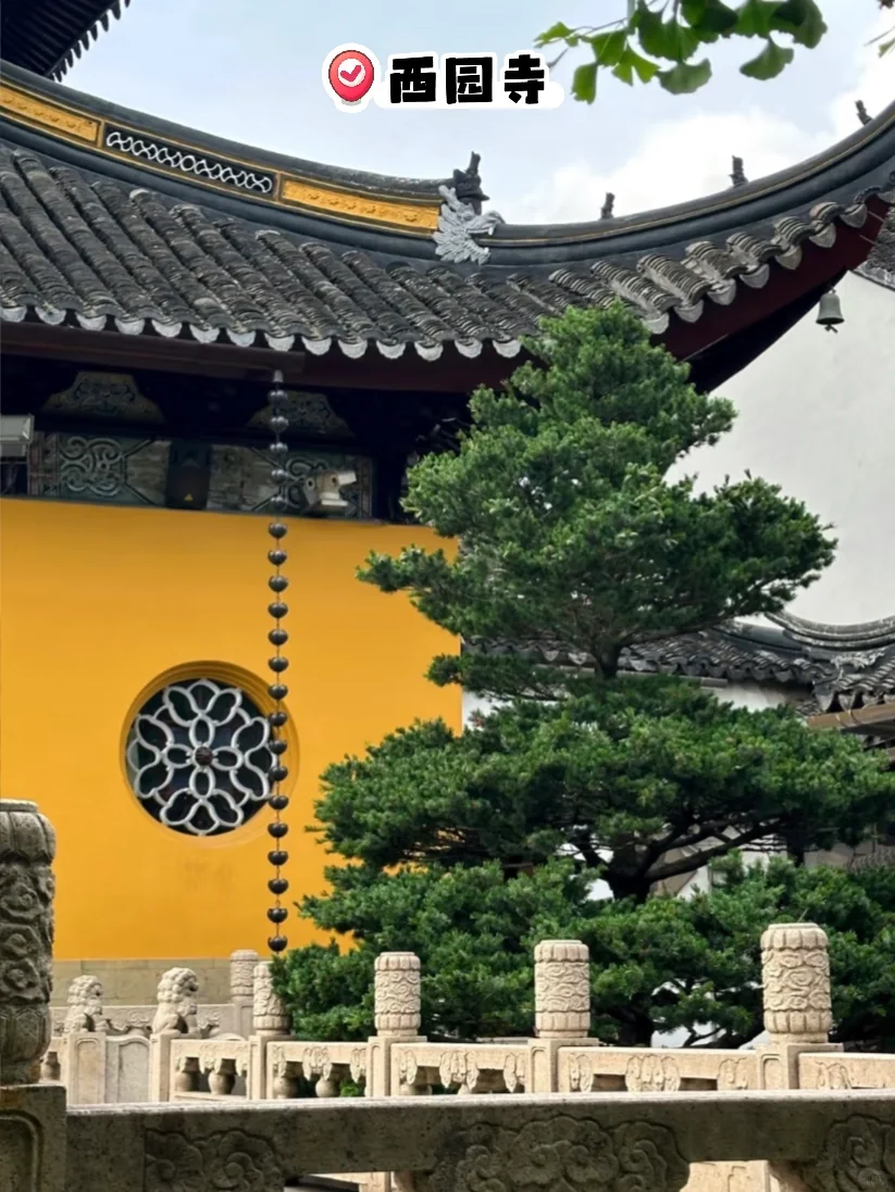 大学生暑假📍苏州/三日游详细攻略（省钱版）