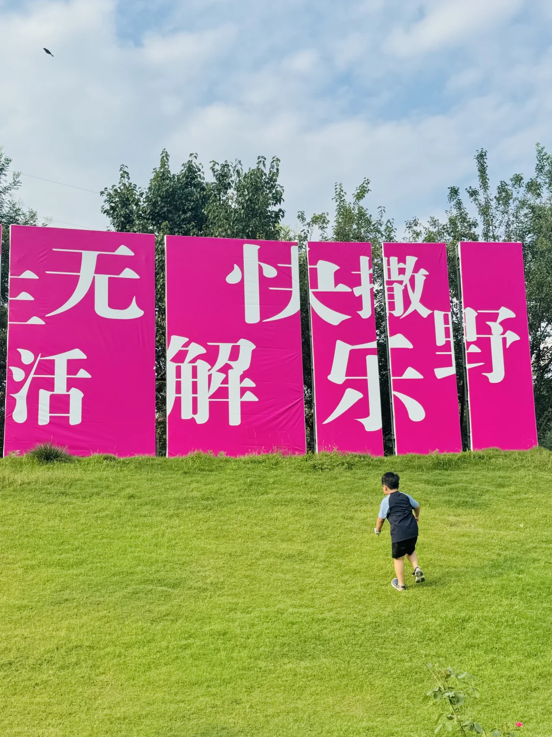 🌙救命！！在邢台发现了现实版「夜精灵栖息地」