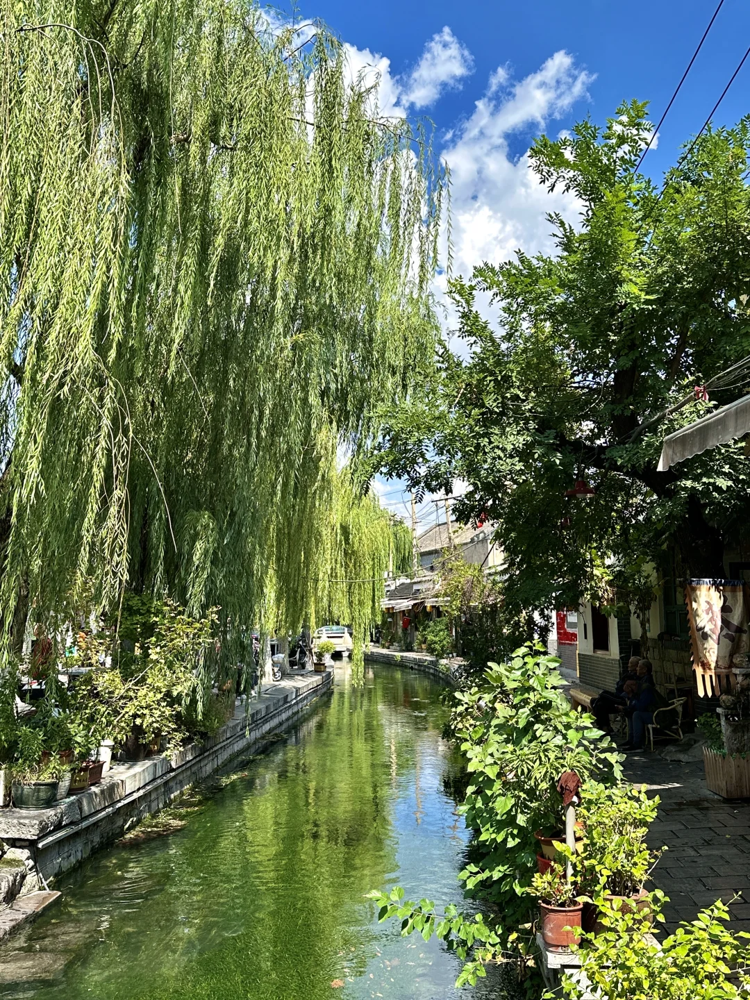 在济南走一种很新的city泉水walk(附路线)
