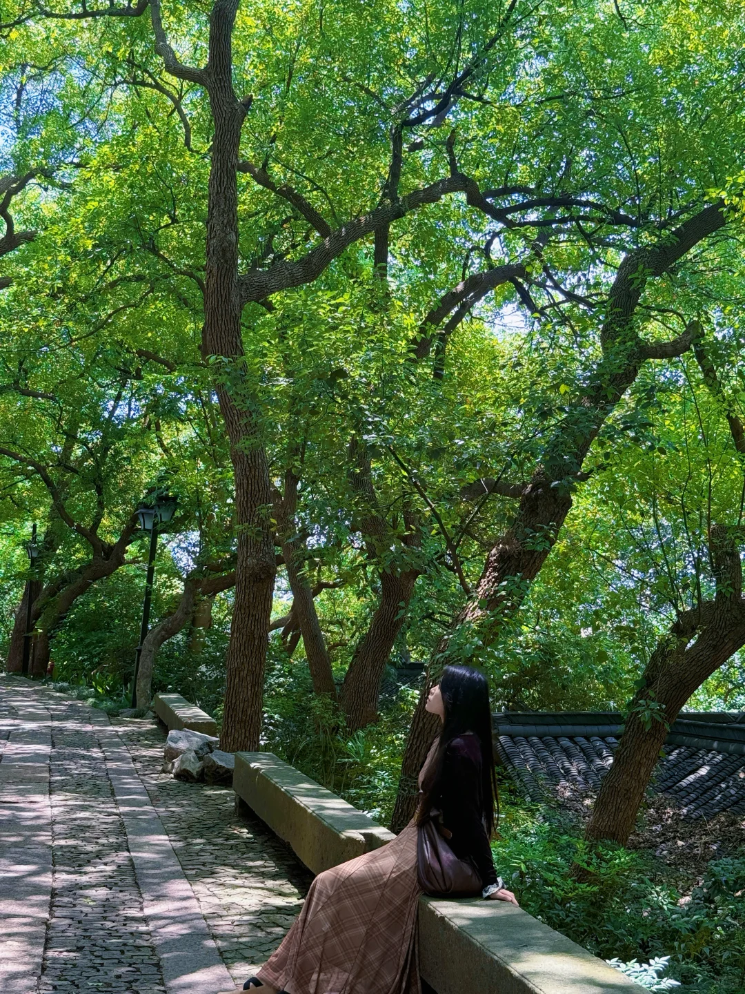 🌲杭州水上巴士｜3元就能体验到的水上江南