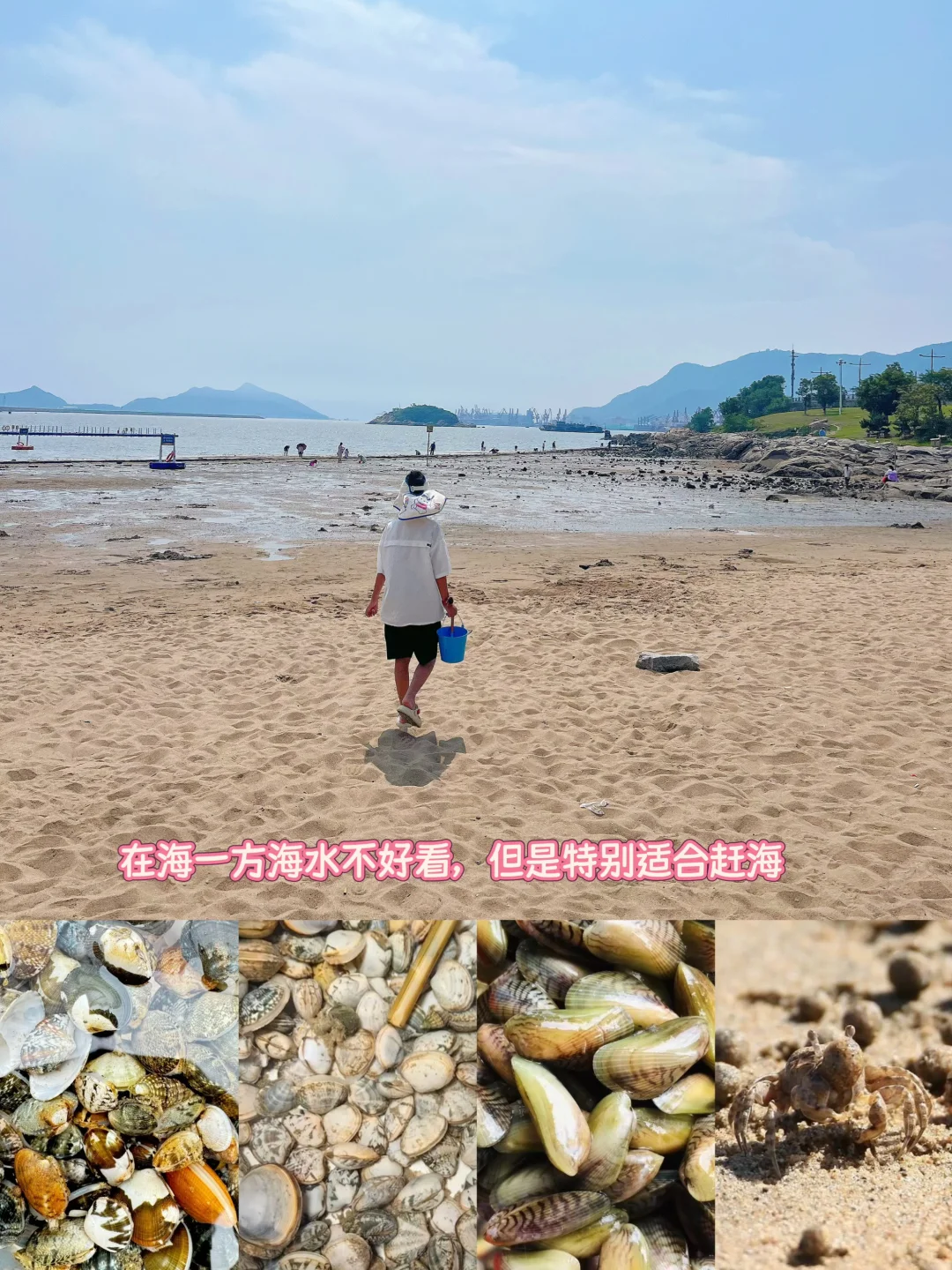 去连云港之前，我是不信江苏有蓝色大海的