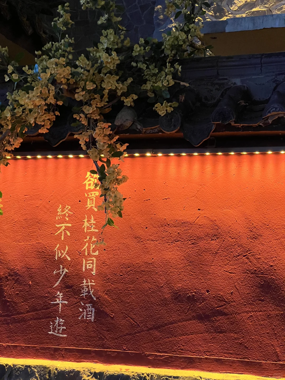 淄博周边绝了‼️“小丽江”古村美疯
