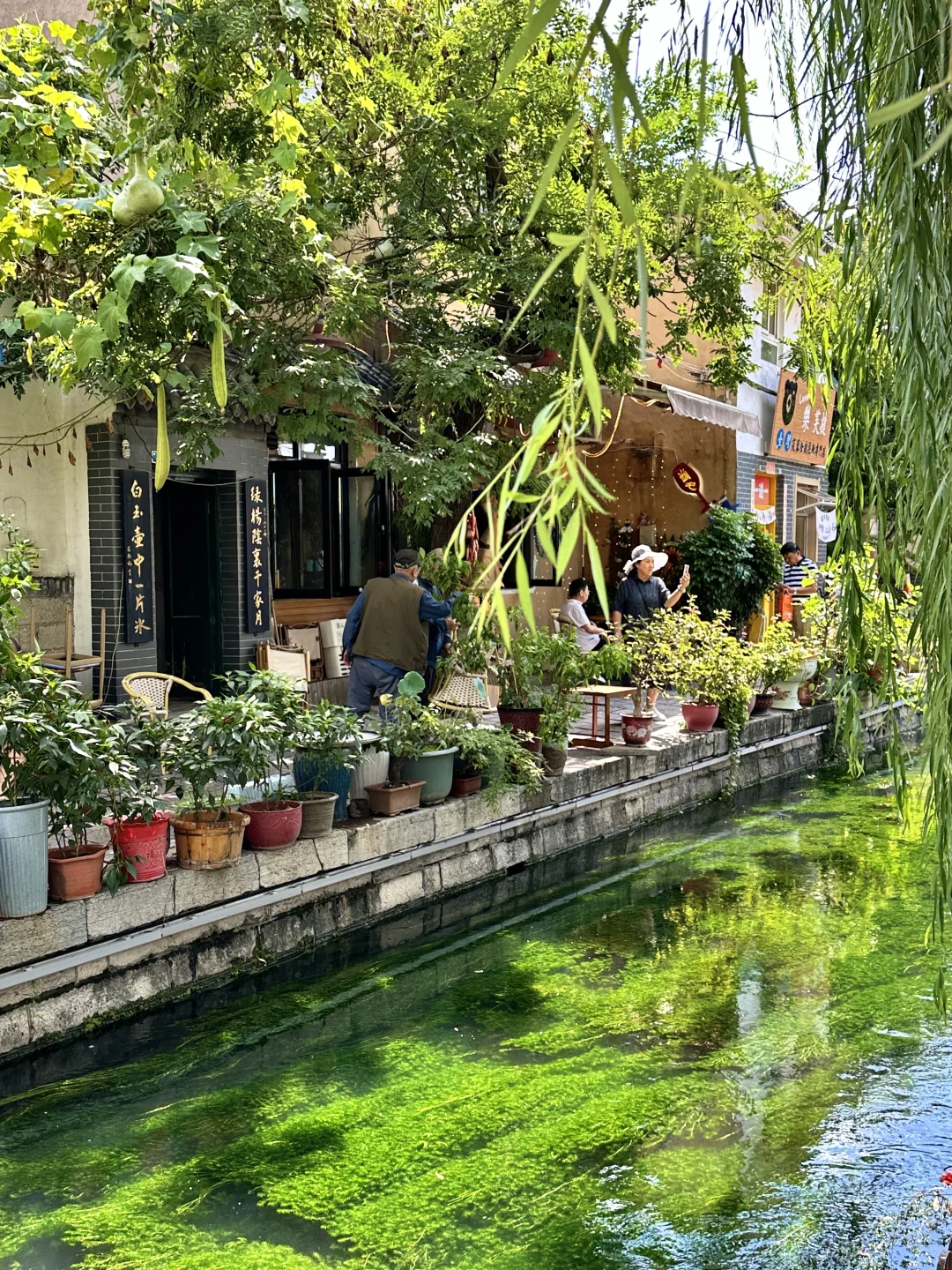 在济南走一种很新的city泉水walk(附路线)