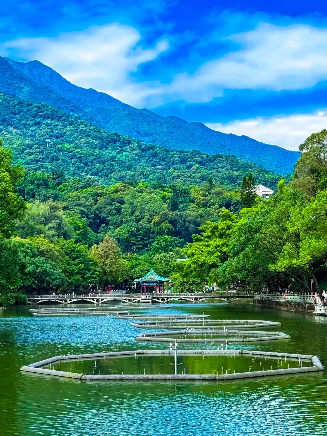 周末去哪儿 | 惠州罗浮山⛰️