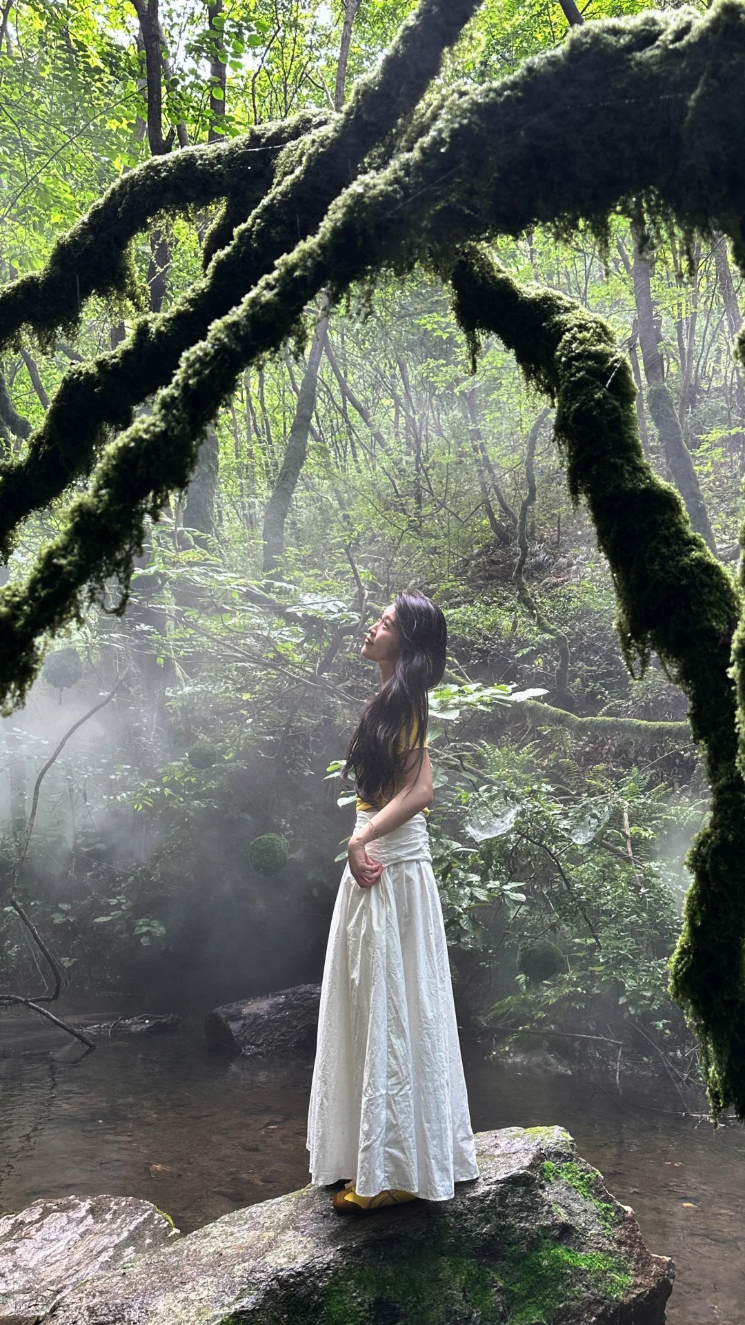 重渡沟旅游度假村——山水秘境，心灵归处🌿