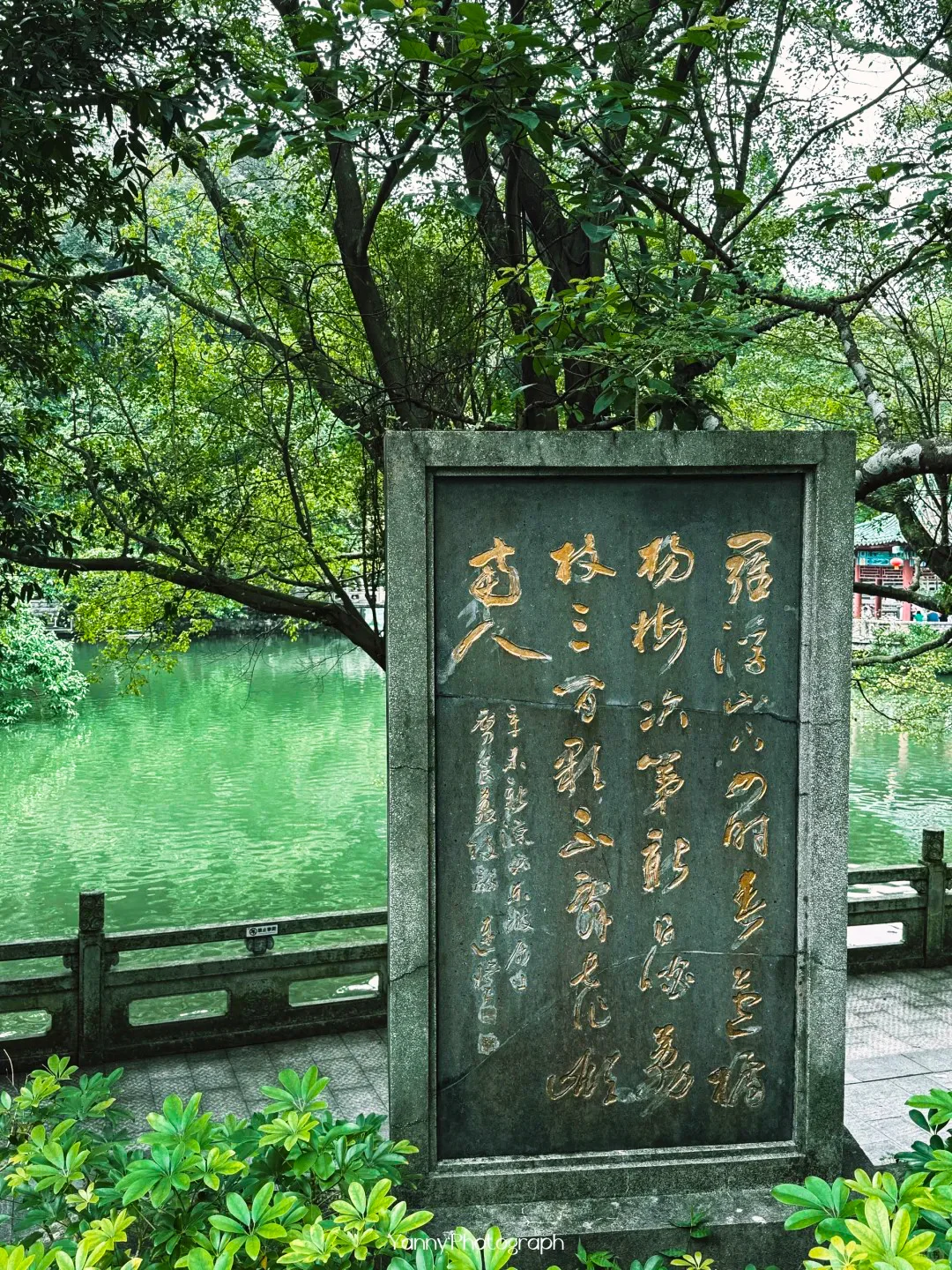 周末去哪儿 | 惠州罗浮山⛰️