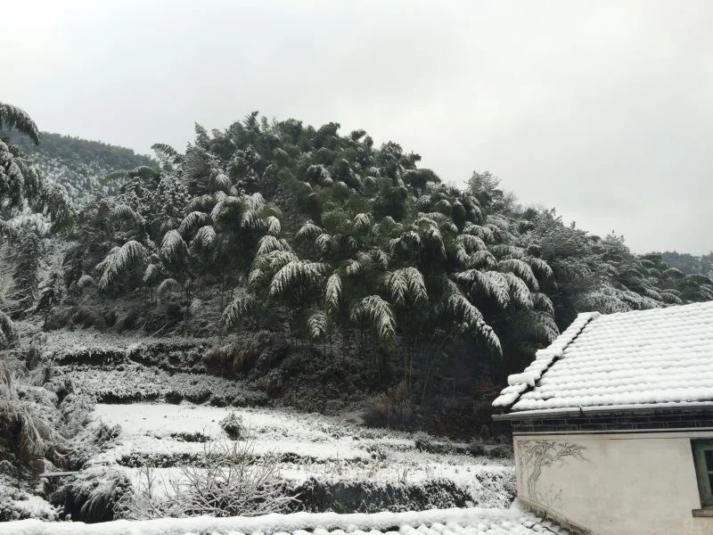 暑假避暑旅游胜地-徽州篇