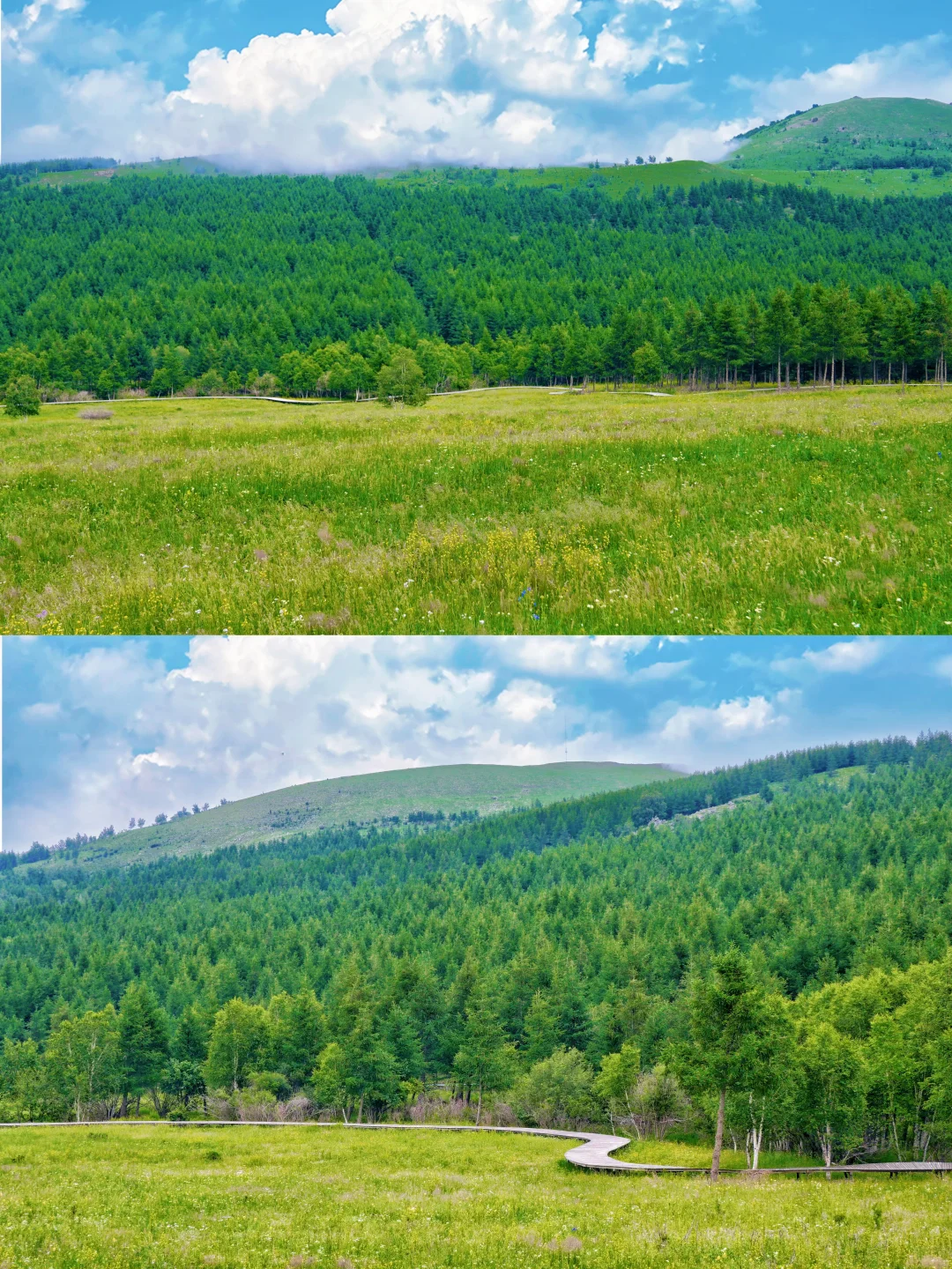 北京出发3h🚗严重被低估的童话森林秘境🌳