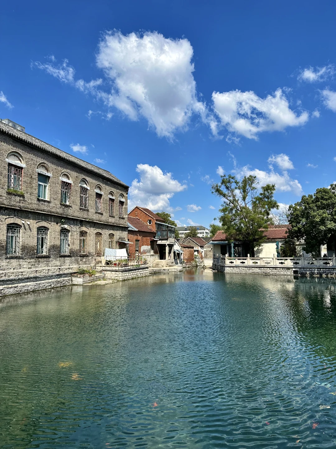 在济南走一种很新的city泉水walk(附路线)