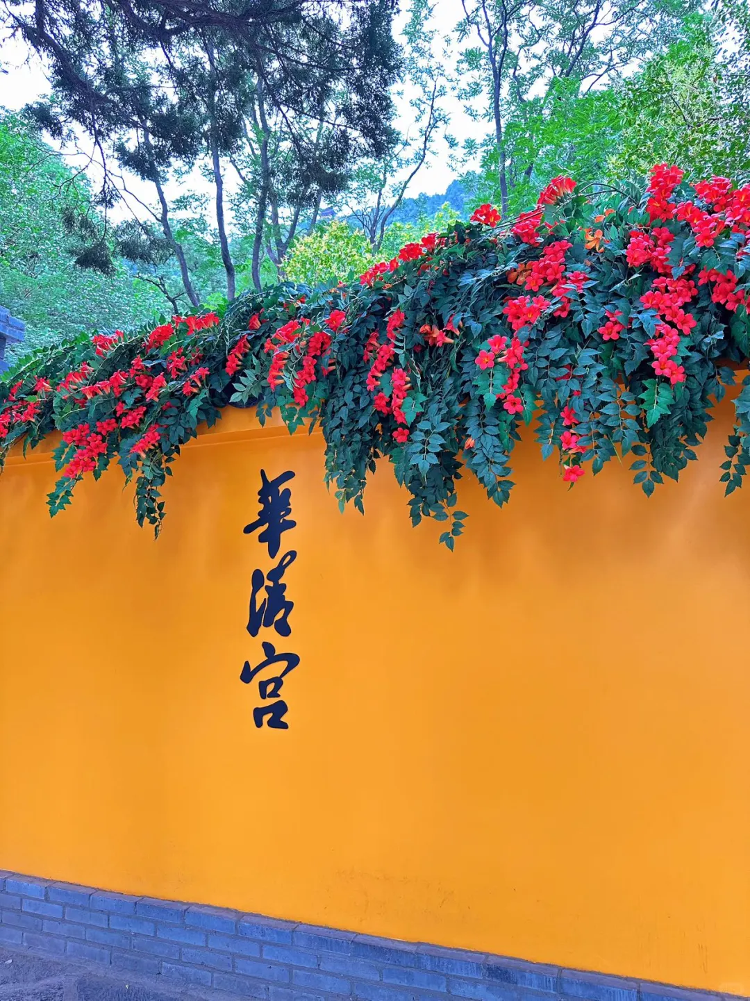 📷华清宫暴走3小时｜体验历史与文化！