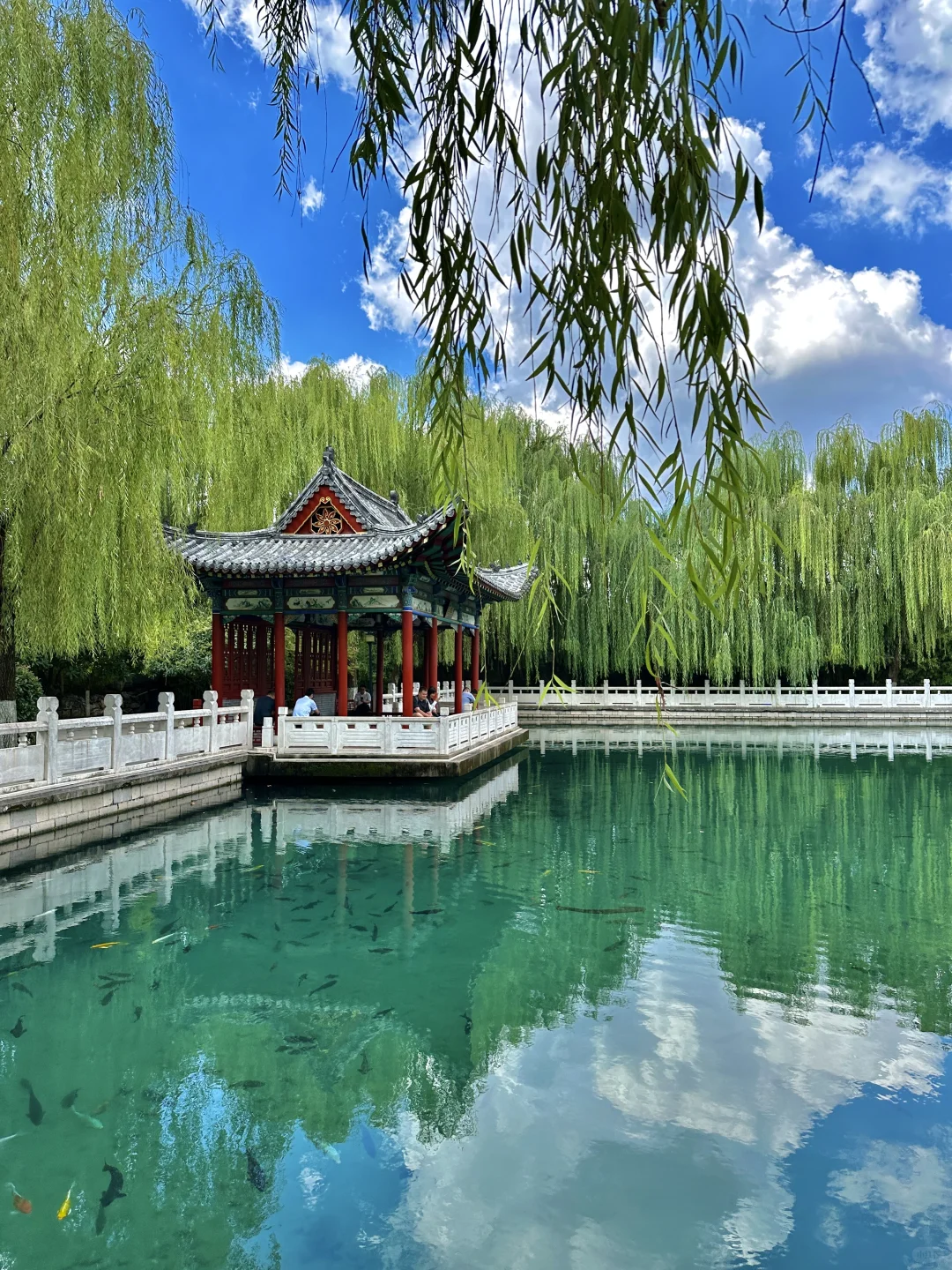 在济南走一种很新的city泉水walk(附路线)