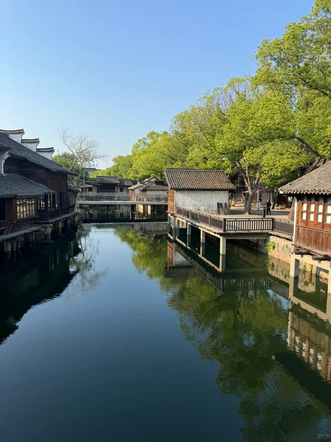 📍为了这面瀑布墙我来了趟盐官