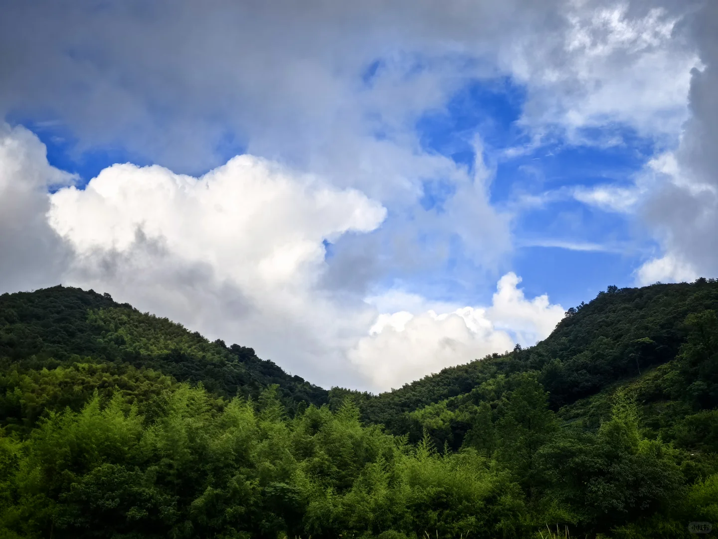 与自恋小钱的幸福日常