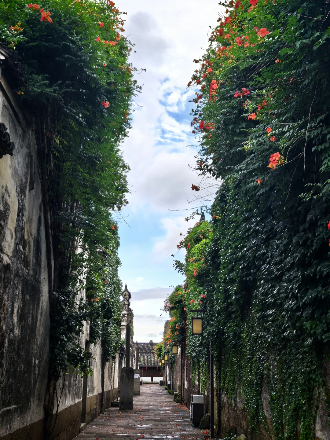 与自恋小钱的幸福日常