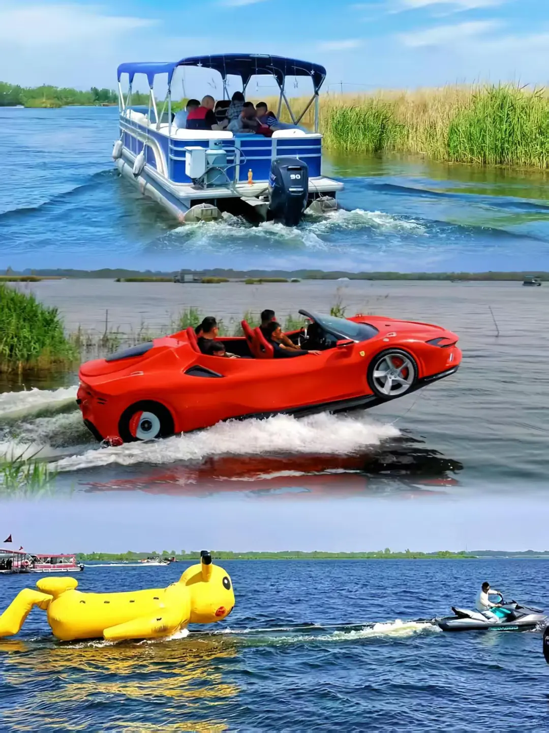 闯入白洋淀的荷花限定梦境🛶