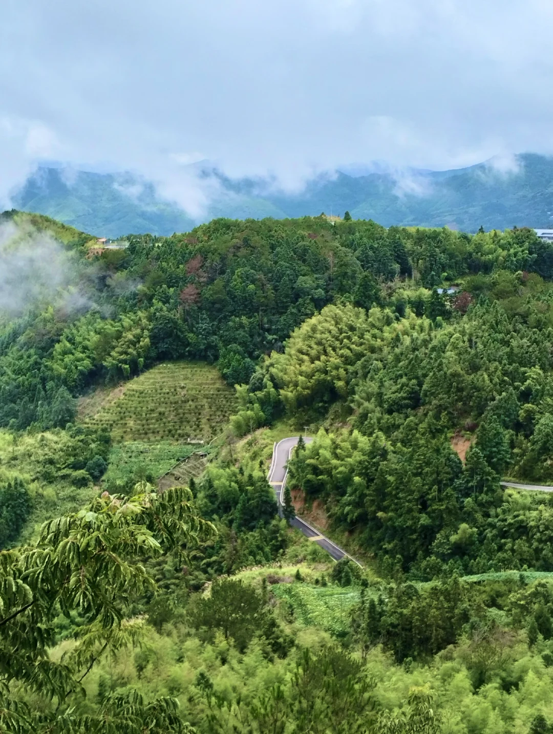 梧溪村，不愧是福建认证的“避暑清凉福地”