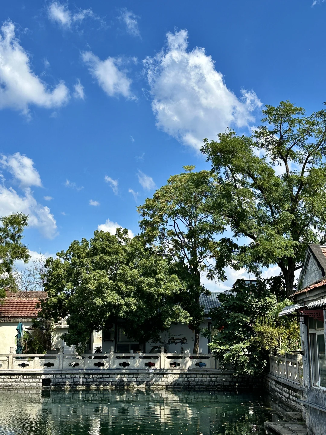在济南走一种很新的city泉水walk(附路线)