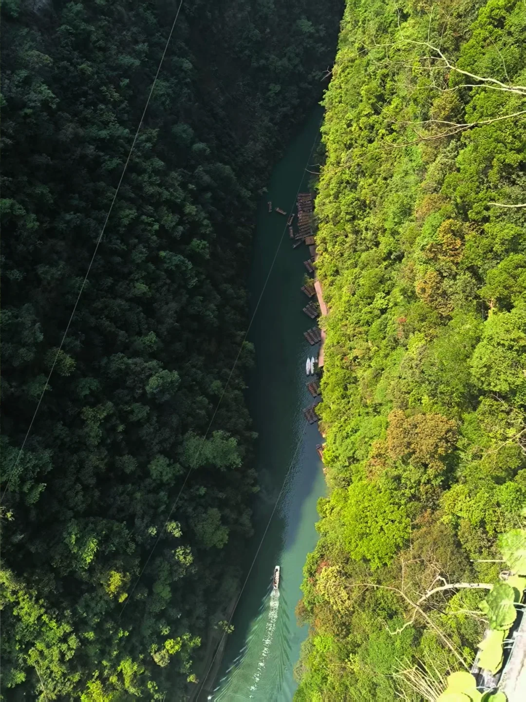 终于开放啦！在屏山看到了玻璃海🌊