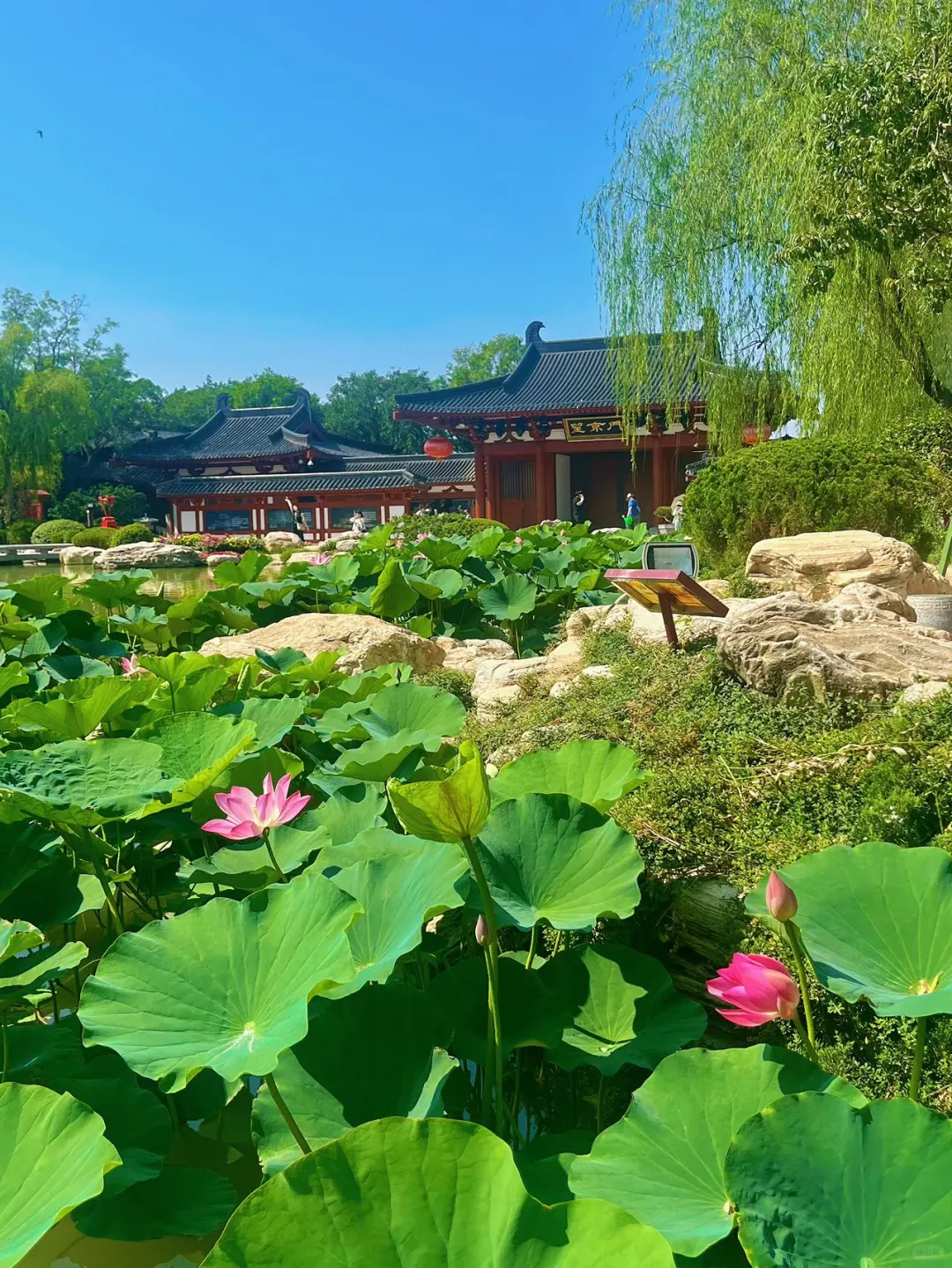 📷华清宫暴走3小时｜体验历史与文化！