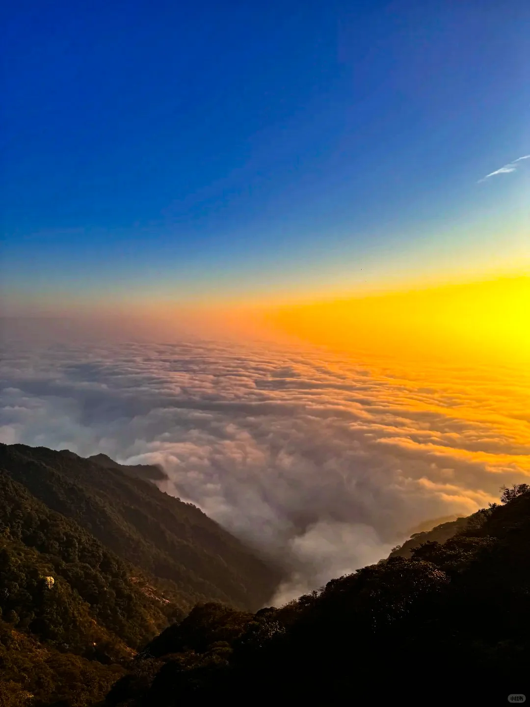 周末去哪儿 | 惠州罗浮山⛰️