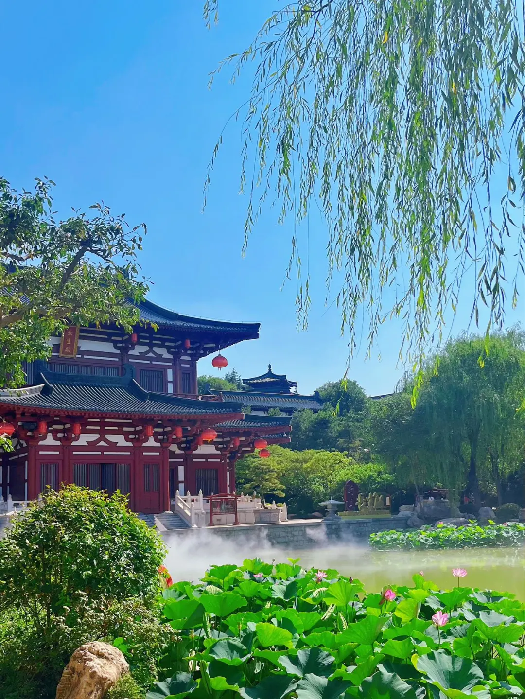 📷华清宫暴走3小时｜体验历史与文化！
