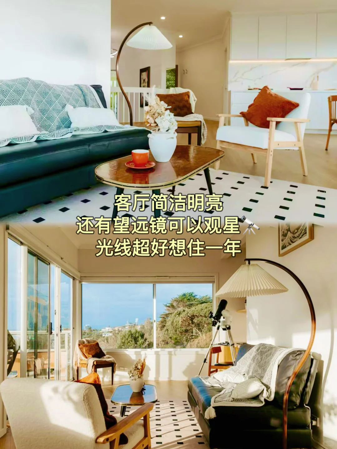 墨尔本完全就是现实版疯狂动物城吧！！！