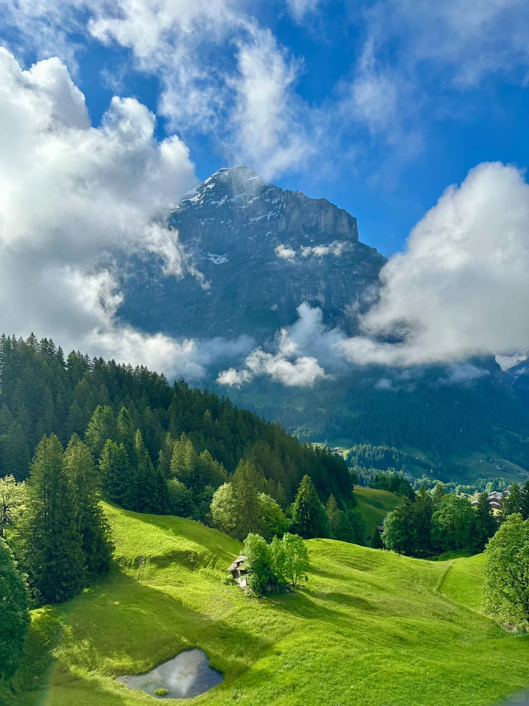 瑞士🇨🇭回国后，人抑郁了