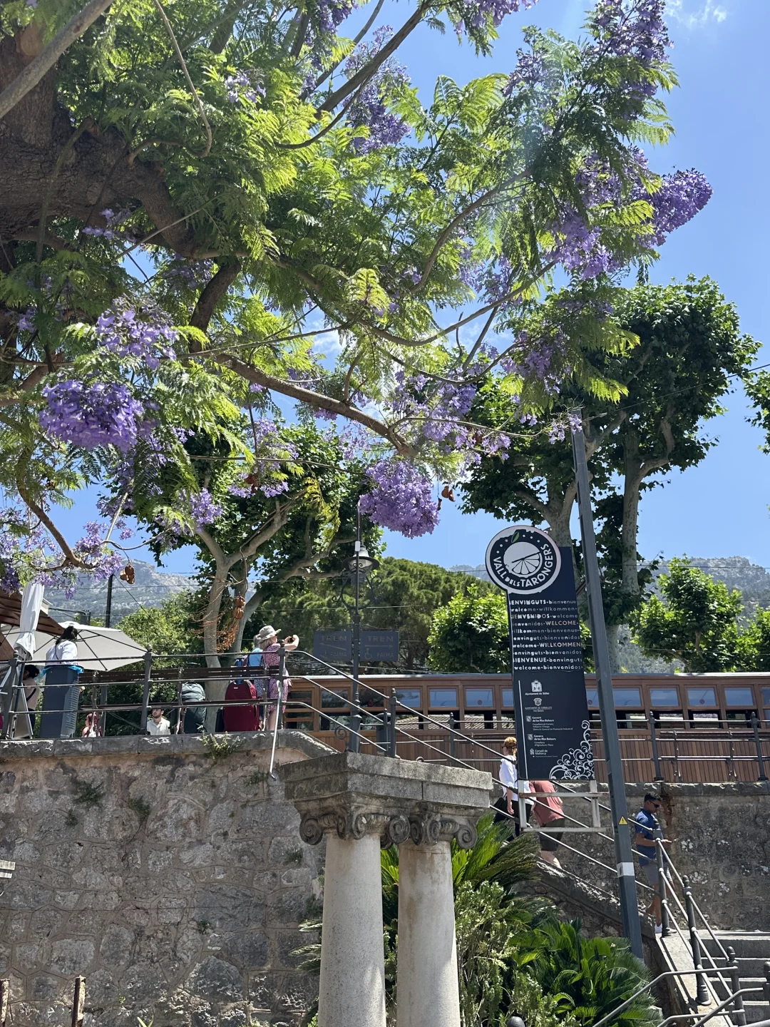 𝑀𝒶𝓁𝓁𝑜𝓇𝒸𝒶漂亮小镇的正确打开方式🌺