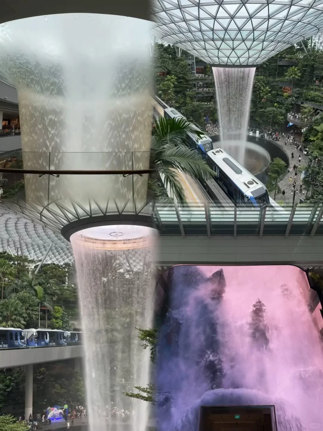第一次独自勇敢出国 世界观从Singapore打开
