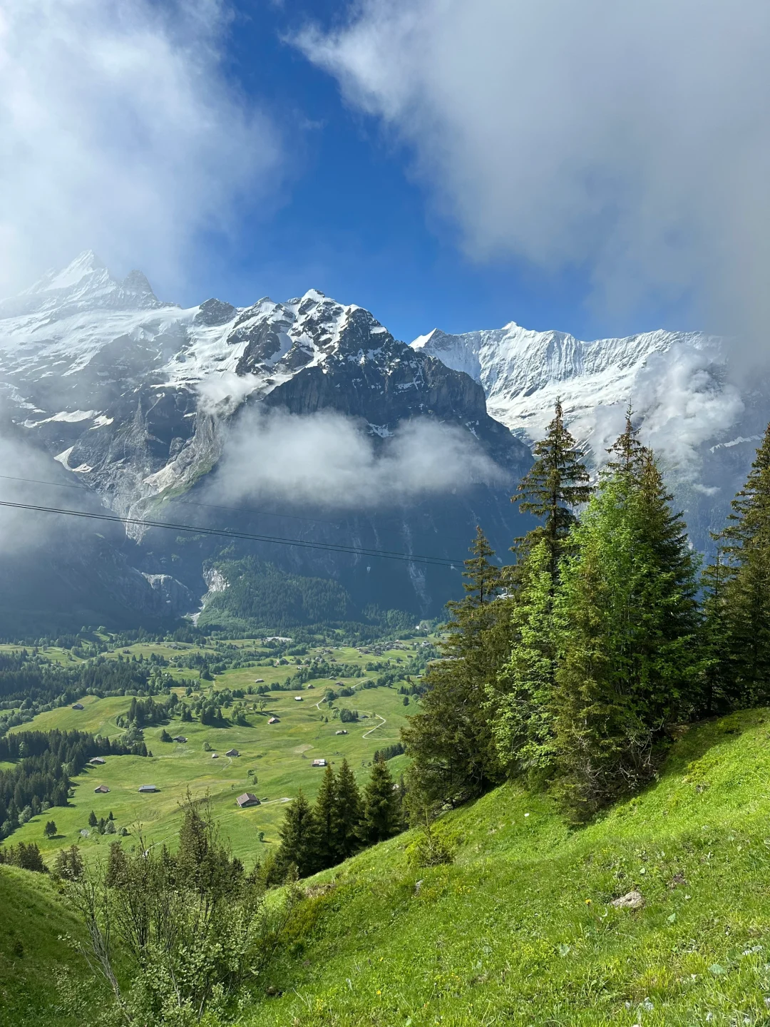 瑞士🇨🇭回国后，人抑郁了