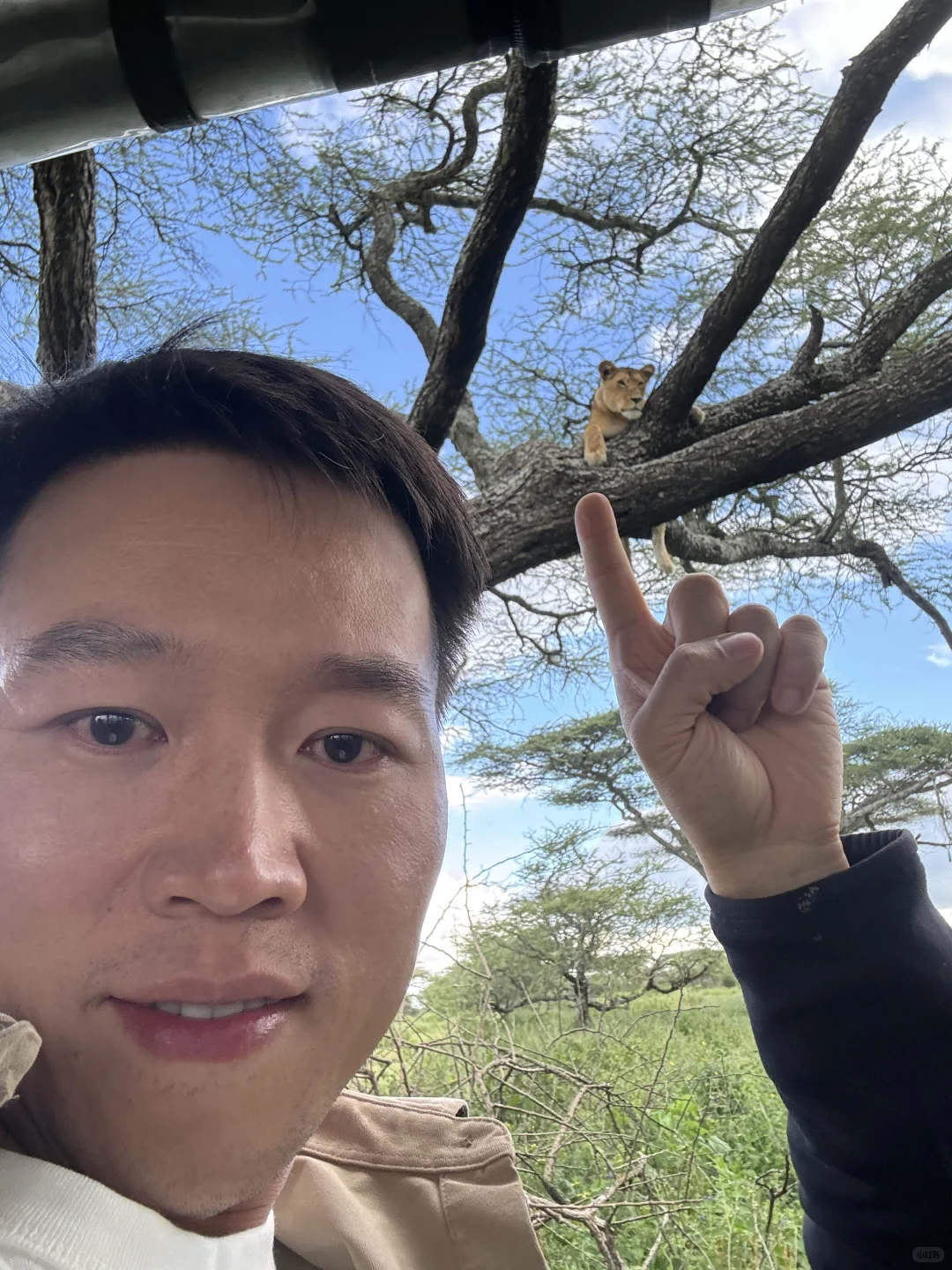 在非洲，我看到了生命最初的模样🦒🦁🦓