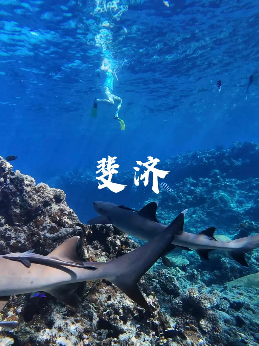 国外9个免签度假海岛天堂🌴端午暑期可冲