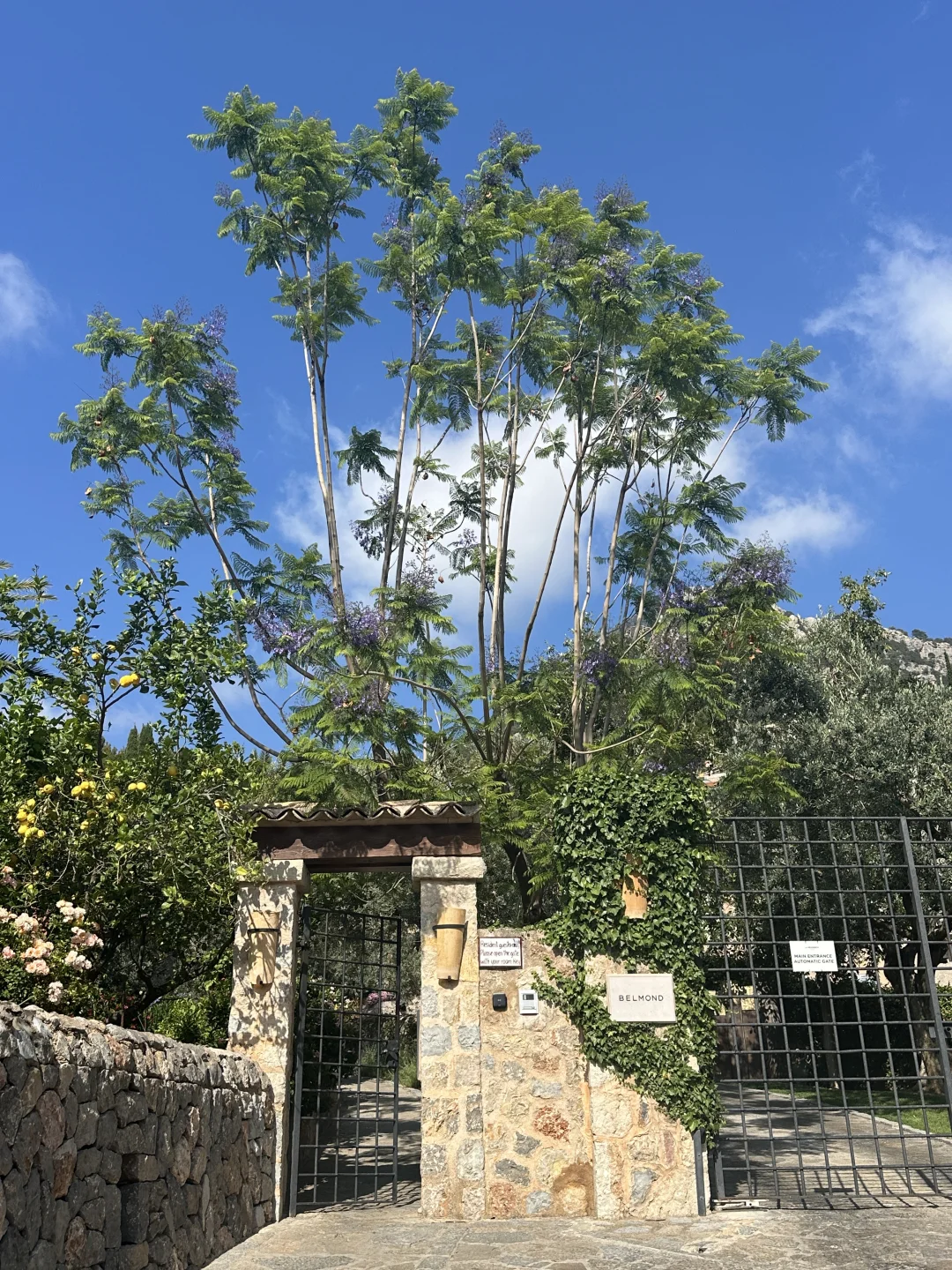 𝑀𝒶𝓁𝓁𝑜𝓇𝒸𝒶漂亮小镇的正确打开方式🌺
