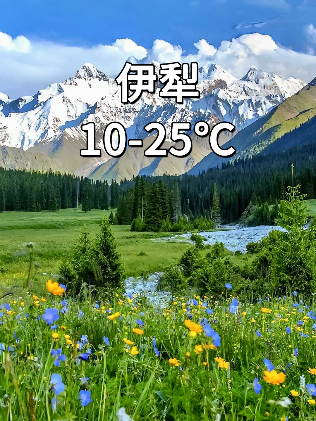 逃离 40°C高温，探寻均温 20°C的避暑胜地