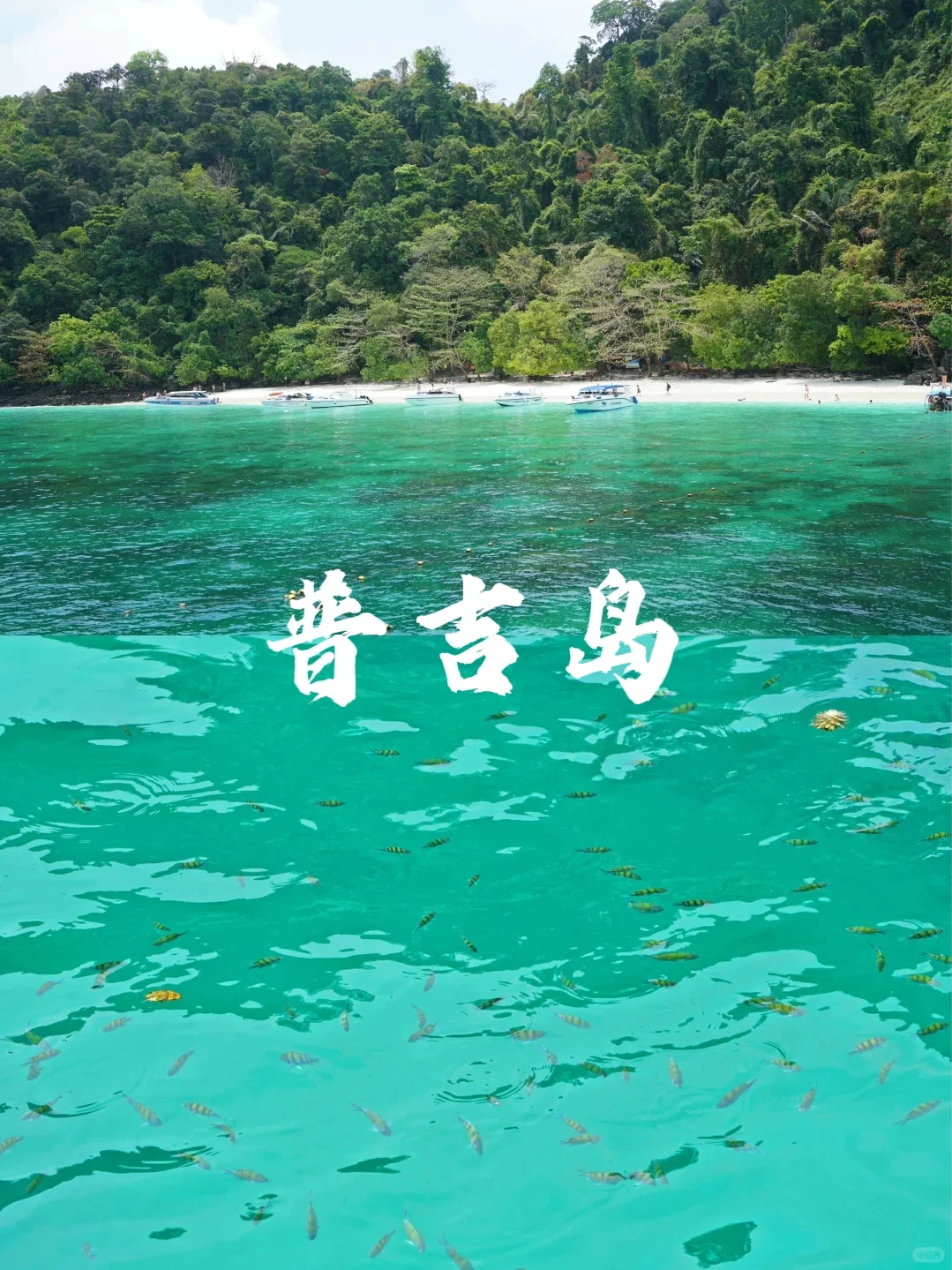 国外9个免签度假海岛天堂🌴端午暑期可冲