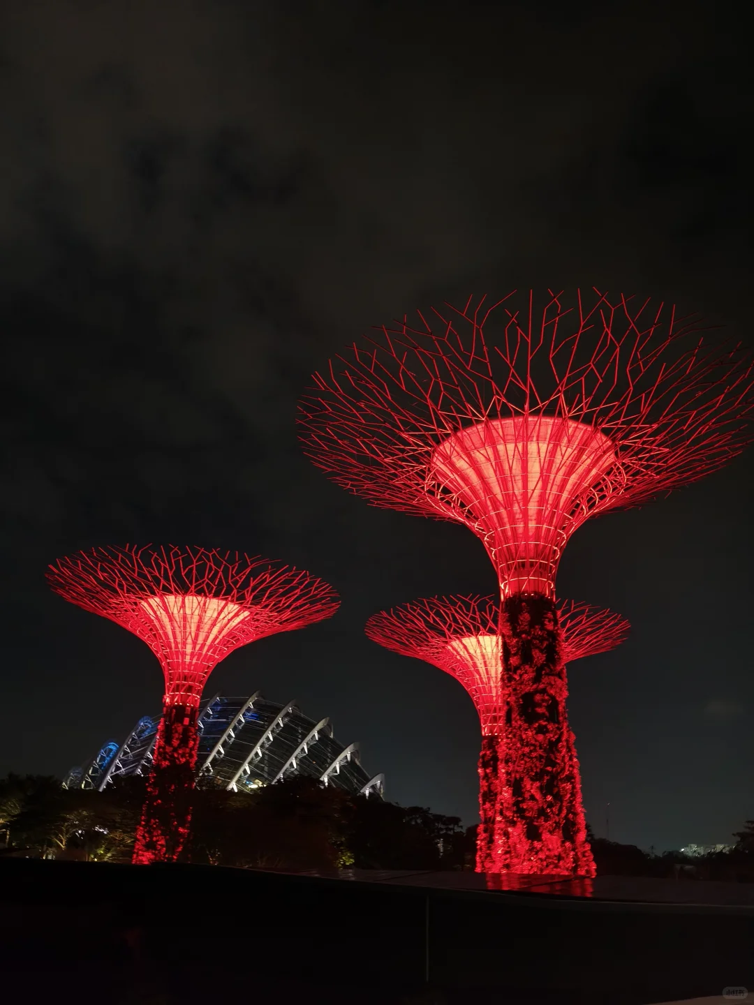女生第一次出国旅游，强烈推荐去新加坡