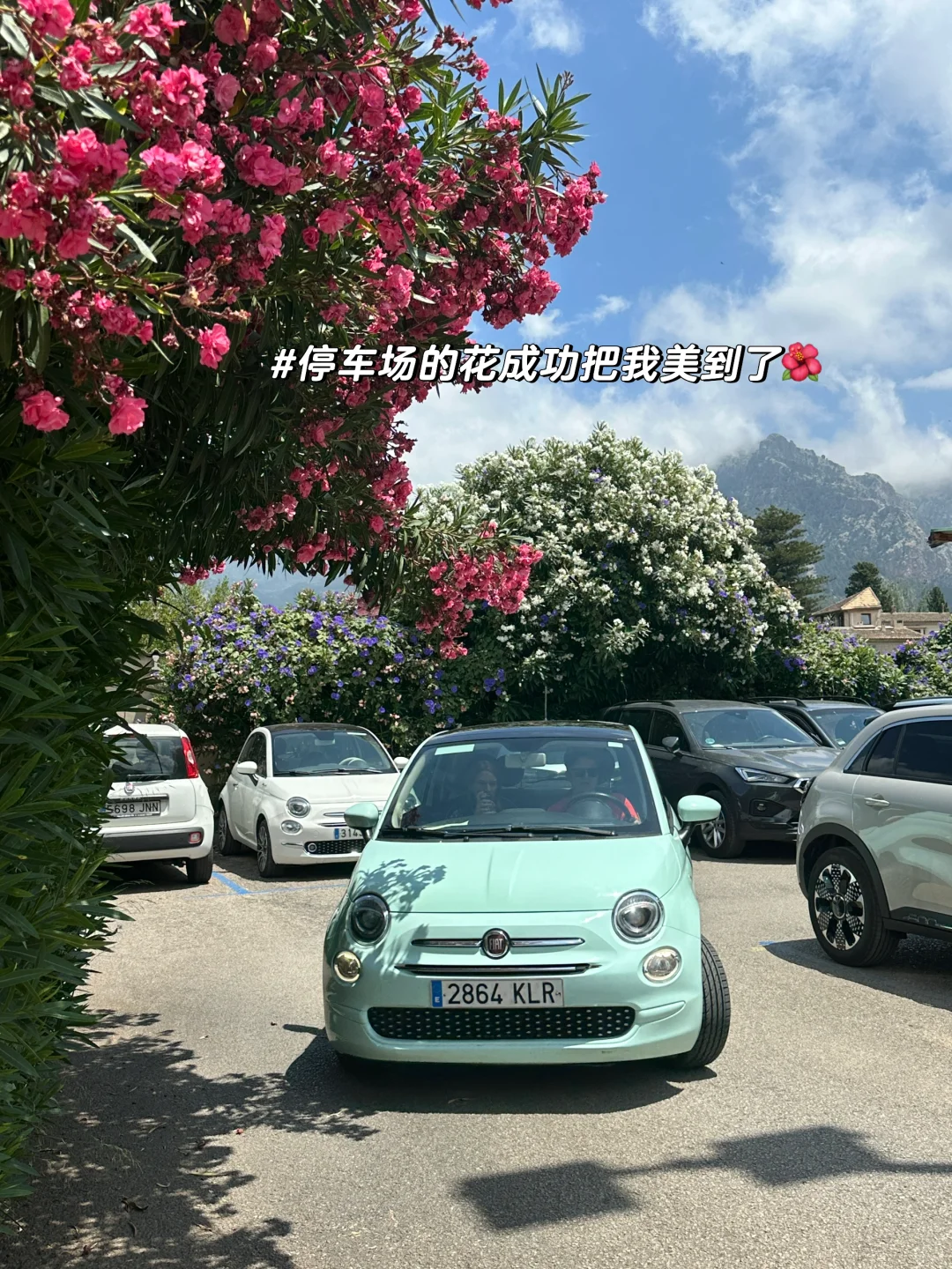 𝑀𝒶𝓁𝓁𝑜𝓇𝒸𝒶漂亮小镇的正确打开方式🌺