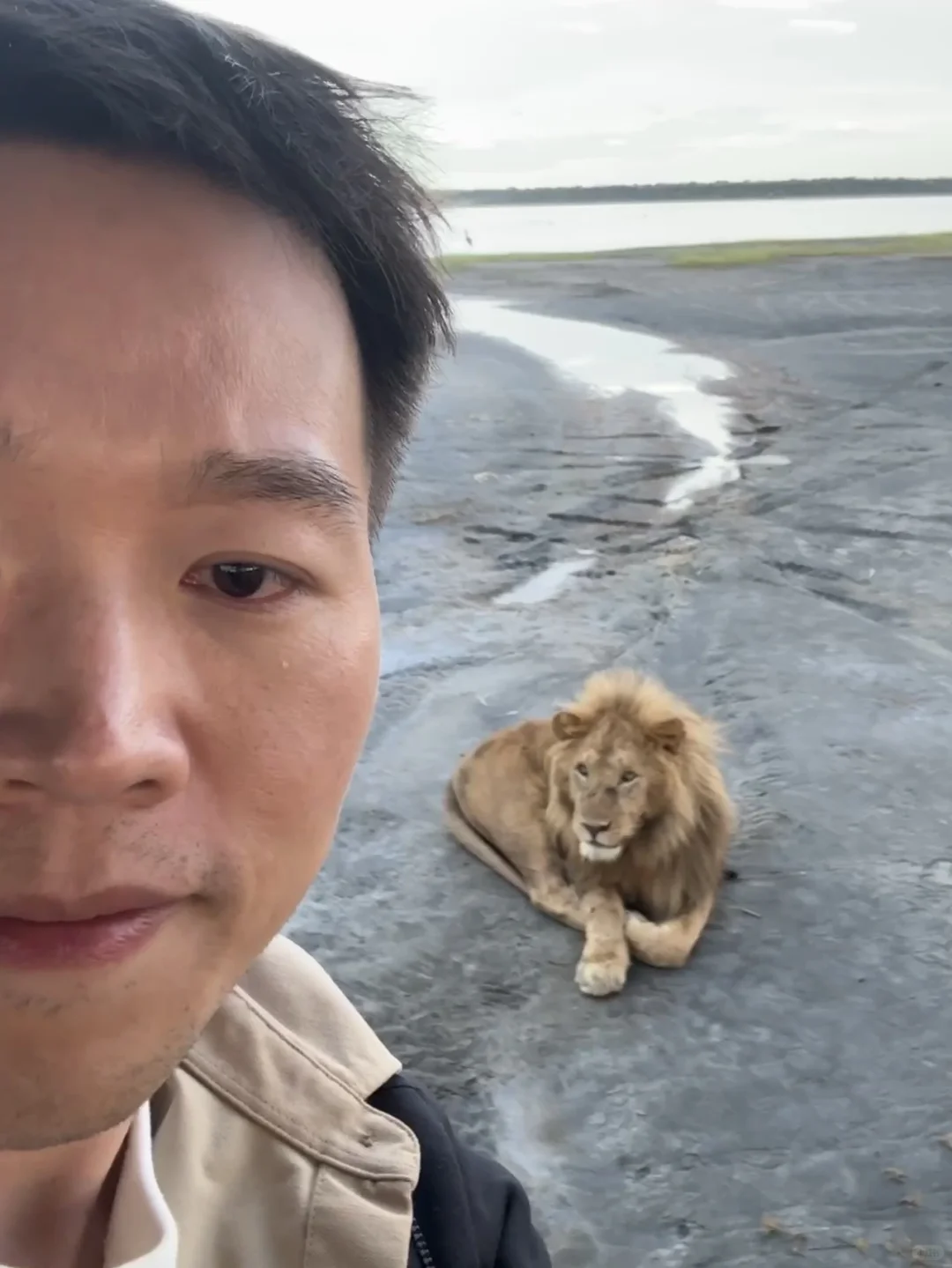 在非洲，我看到了生命最初的模样🦒🦁🦓